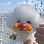 얘들아 이영상 뭐였는지 아는 사람 ㅠㅠ제발