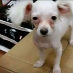 더글로리 몰입 안되는거