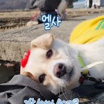 [댓글부탁해] 이거 <b>홍보</b> 좀 해줘