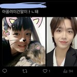 [<b>보</b><b>플</b>] 장슈아이보 한 팬이 ㅁㅊ듯