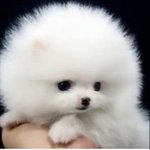 <b>A컵</b>이 아닌것 같아