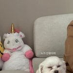 리정 &amp; 반려<b>견들</b>