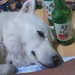 에<b>포장</b> 진심 어그로 제대로 붙었구나