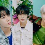 [NCT칠프] 도재정톡 올사람 있음?