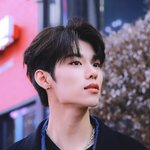 진심 이정현 이해 안 가는 거 있음