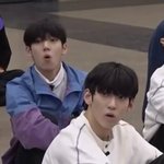 한유진 <b>나캠든</b> 왜 닮았지