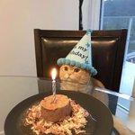 이 영상 뭔지 아는 사람ㅠㅠ 제발. ㅠ