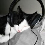 스포) 더글로리 이도현 <b>서사</b> 너무 부족한거 아님..?