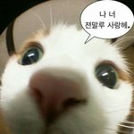 너네가 하는 망상주제 있냐