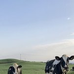 [댓글부탁해] 너네 전남친이랑 <b>MT</b>갈 수 있음??