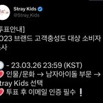 [스키즈] 모두 <b>브랜드</b>대상 투표 부탁해️❤️