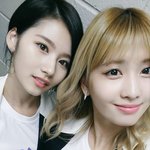 근데 모모 이때가 더 예쁘지 않냐