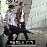 한국인들의 바이브가 느껴지는 대한외국인들ㅋㅋ