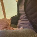 <b>캠핑장</b>에서 고영희님 영접