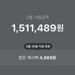 나 2월달에 <b>소비</b> 미친건가