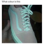 트위터 이럴 때 너희는 어떻게 해?