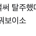 [드루와] <b>끼발</b> 이 말을 센터즈앰이 하네ㅋㅋㅋ