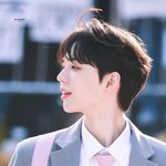 윤종우가 <b>안정</b>권인데