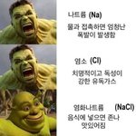 [댓글부탁해] 새학기 젤싫은건 이거임