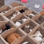 <b>말랑</b>피부 만드는법