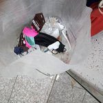 우리<b>집</b> 애비충 <b>수준</b>