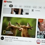 [댓글부탁해] 가슴 <b>D</b>이상인 애들아