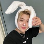 [NCT드림] 나토끼<b>파</b> <b>개</b>같이 부활