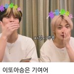 [스키즈] 너무 귀미