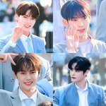 [모두드루와] 보플 허위<b>매물</b>임??