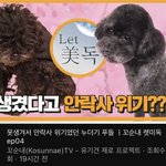 [강아지] <b>단지</b> 못생겼단 이유만으로 버려진 강아지