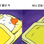 대학생들아 들어와봐 ㅠㅠㅠ