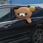 [19] 이 정도면 얼굴 못생긴 편은 아니지?
