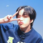 트레저 컴백 기원 정권찌르기