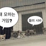 <b>레</b>쉬는
