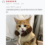 여름에 옷 잘<b>입기</b>가 ㄹㅇ 힘들지 않으?