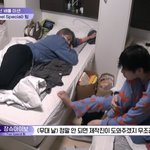 장<b>슈</b>아이보 느그 나라로 돌아가렴