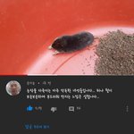 [댓글부탁해] 내가 벌써 이렇게나 나이를 먹었다니