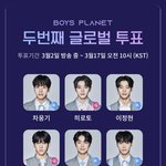 보플 보고 투표함