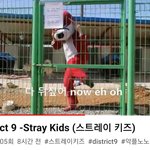 [스키즈] ㅋㅋㅋㅋㅋㅋㅋ 이거 뭐야