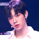 [댓글좀] ㄹㅇ 차이<b>진신</b>은
