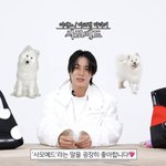 [NCT드림] 이거 마크 <b>보여</b>주고싶다 ㅋㅋㅋㅋㅋ