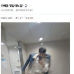 [댓글부탁해] 갤러리 <b>용량</b> 없어서 웃짤 털고 감 2