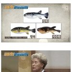 복어 기능장의 <b>위엄</b> ㅋㅋ