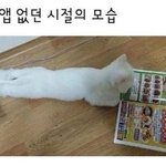 [댓글부탁해] 너네는 햄최몇?