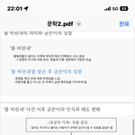 피피티점봐주