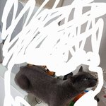 [판이야기] 나만 <b>자세</b> 웃기냐?