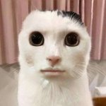 [19] <b>탐폰</b>쓰고 인생 달라짐