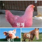 3모 ㅈ된 고3