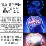 심심해서 스노우로 화장해봄