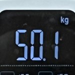[D-11] 저는 <b>돼지</b>입니다.